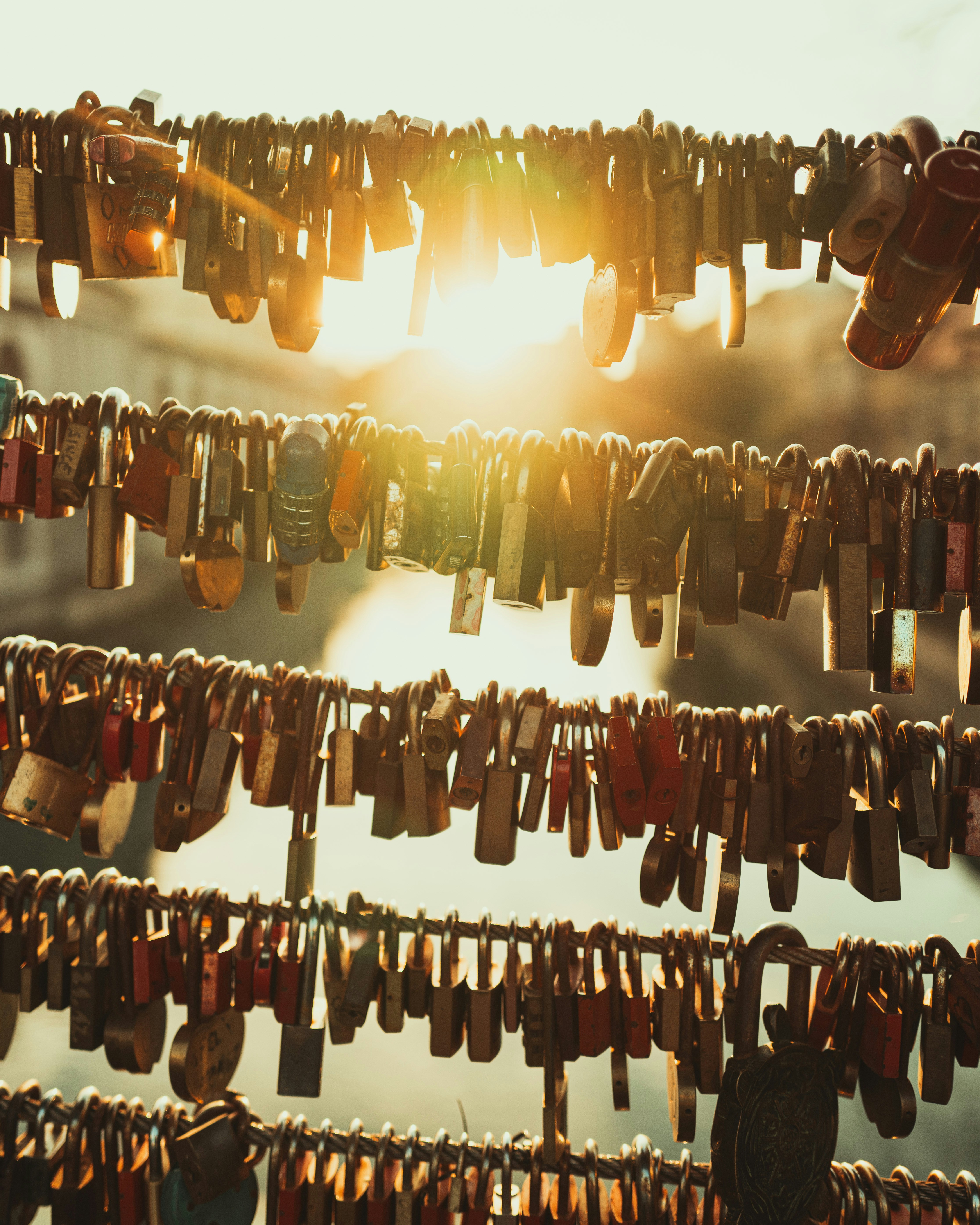 Five rows of hundreds of hanging padlocks