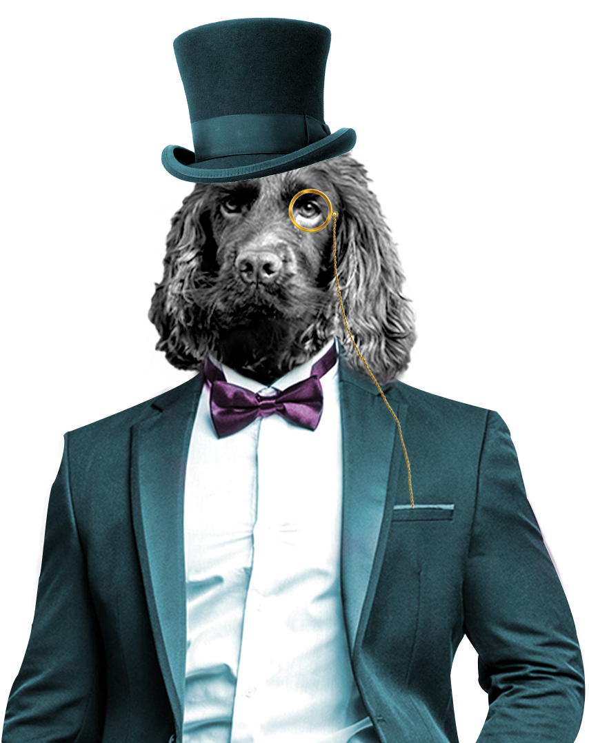 Arlo ( The studio dog and head of barketing ) dressed like a gentleman, complete with a top hat, monocle and bow tie.