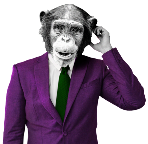 Chimpanzee wearing purple suit and green tie, scratching it's head