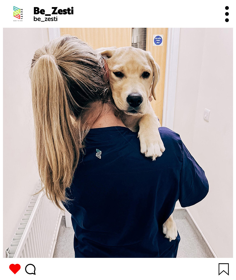 Zesti Instagram lady with dog