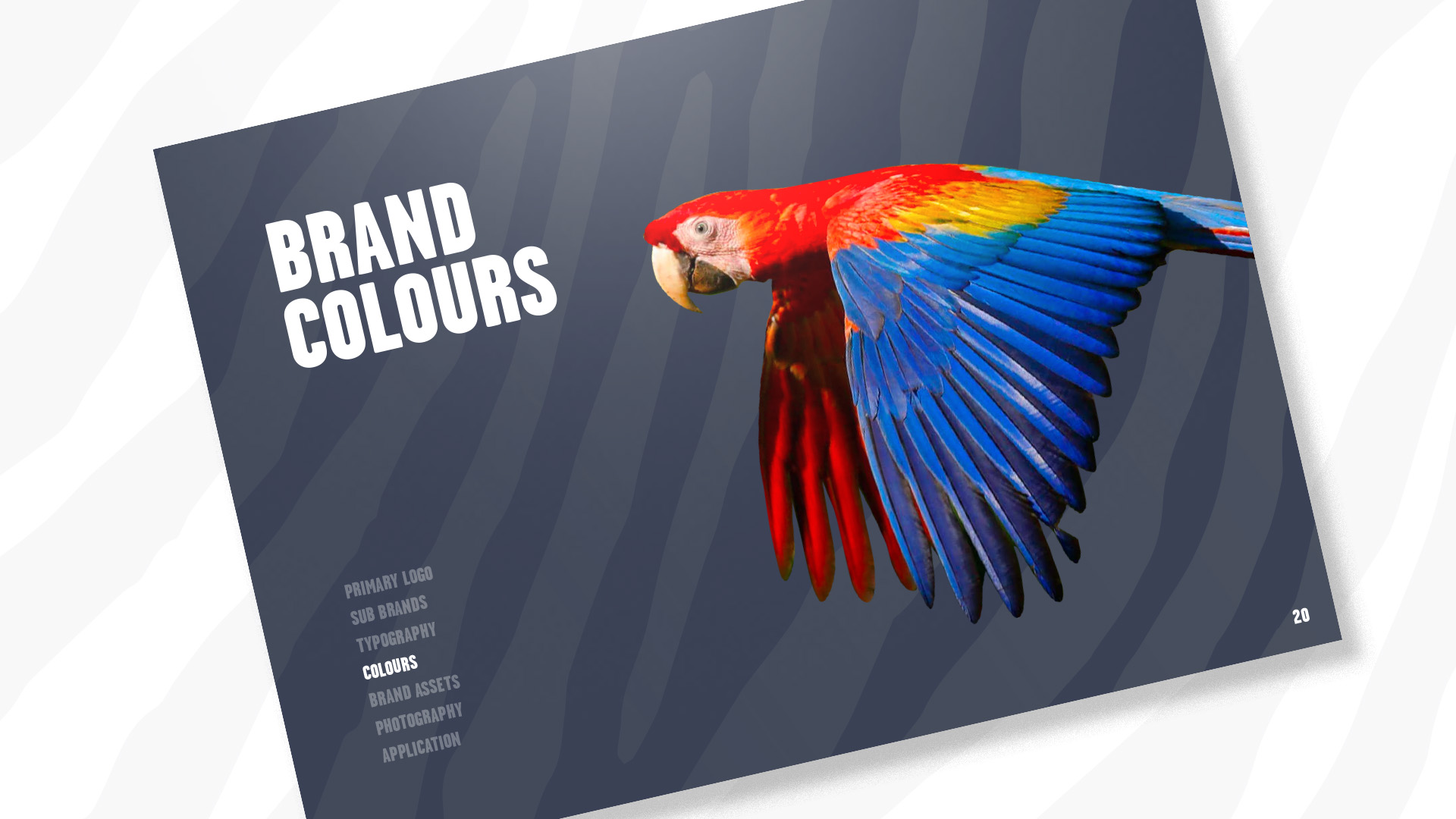 Banham Zoo brand colours