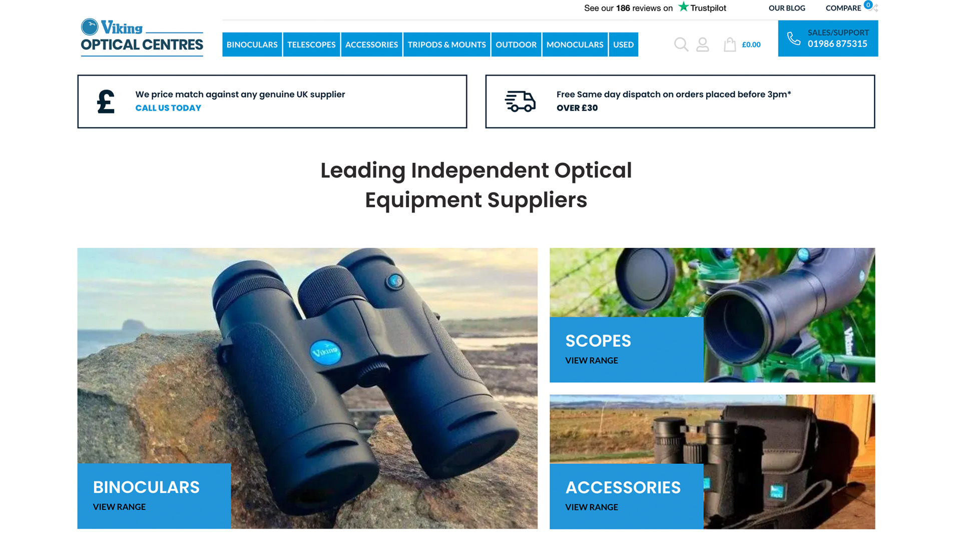 Viking Optical Centres homepage 2