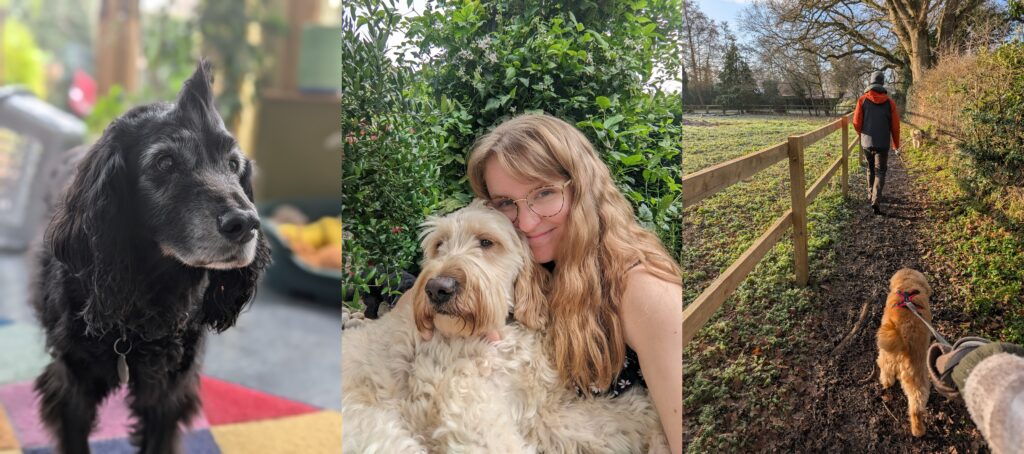 Collage of three photos of dogs and a blonde women in glasses
